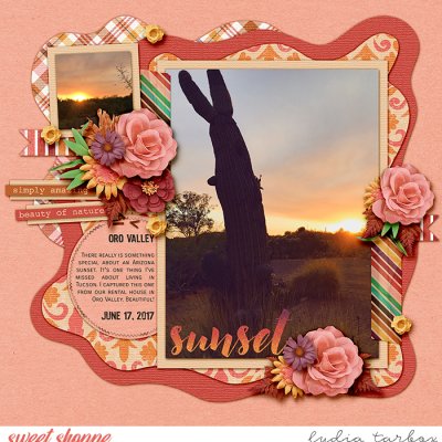 Arizona Sunset