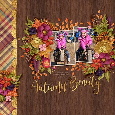 Fall Fun