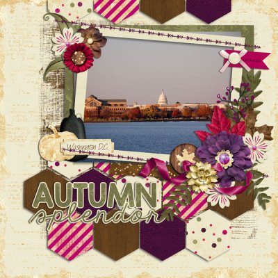 autumn splendor