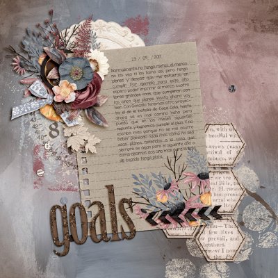 #3 journal: goals