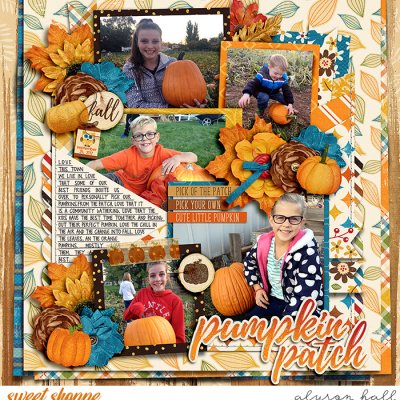 Pumpkin Patch