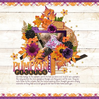 Pumpkin Picking