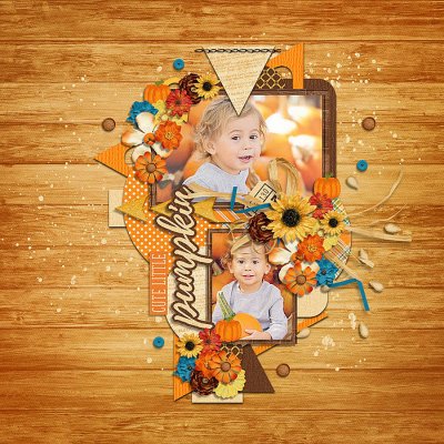 Pumpkin Patch