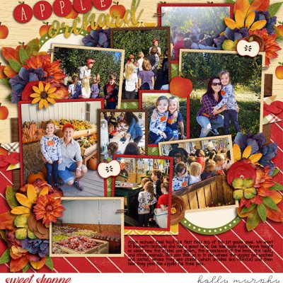 Apple Orchard