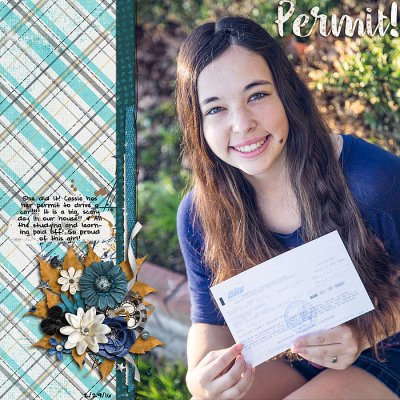 Permit1