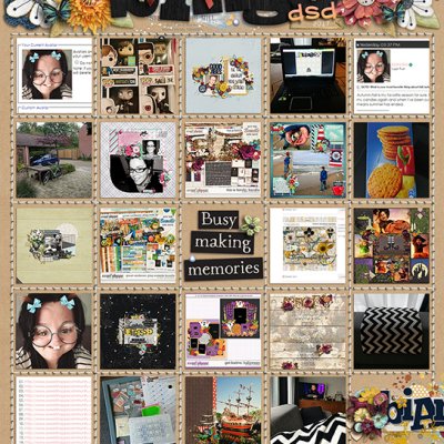 DSD 2017 Bingo - Black Out