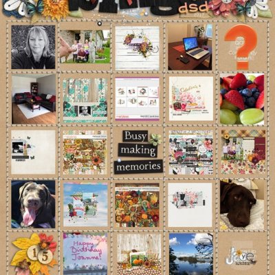 DSD Bingo Card