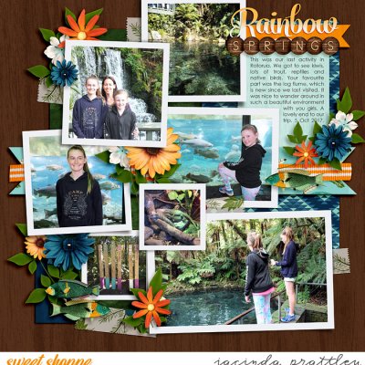 Rainbow Springs