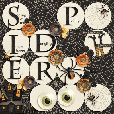 Spider
