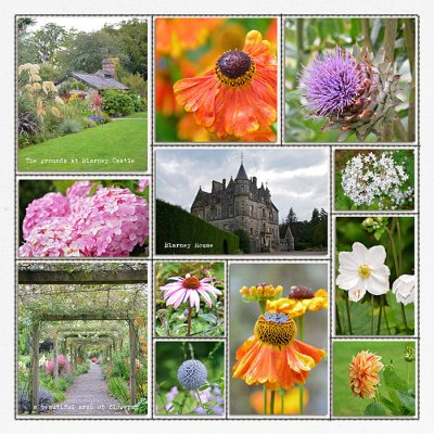 Blarney Castle Grounds