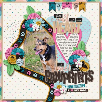 paved with pawprints