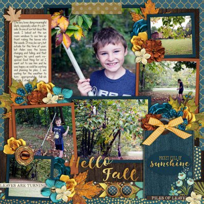 Raking the Leaves