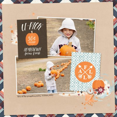 pumpkin patch