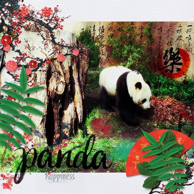Panda Happiness