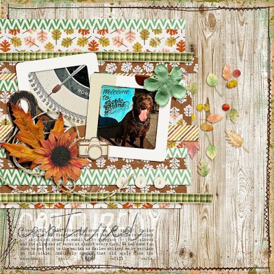A Weighty Fall Day