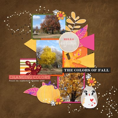 Colors of Fall B20