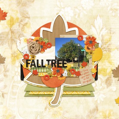 Fall Tree 2017
