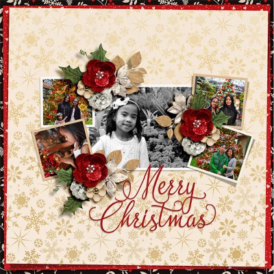 Merry Christmas