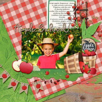 At the apple orchard