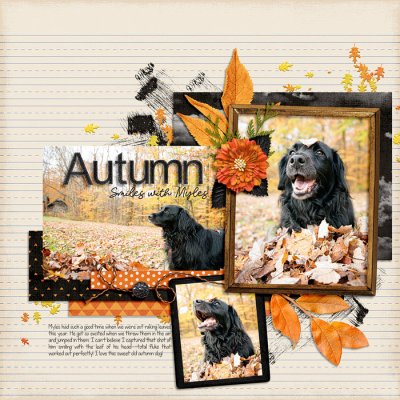 Nov Notebook background