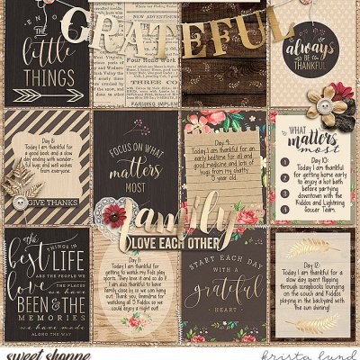 2017 Gratitude Album- page 2