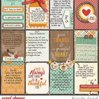 2017 Gratitude Album- page 3