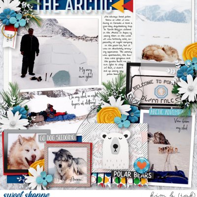 The Arctic