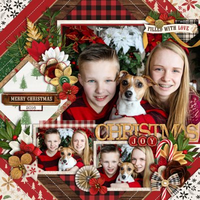Christmas Joy