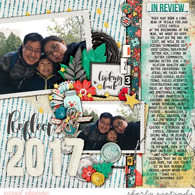 2017 in review