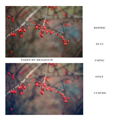Dec 6 Holiday challenge