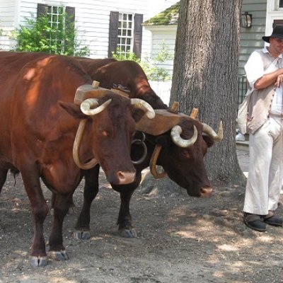 Colonial Williamsburg