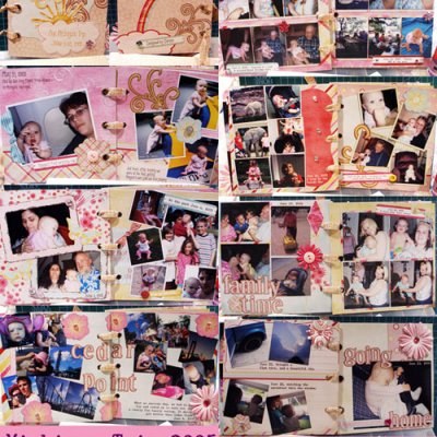 6x6 Hybrid Album: MI Trip 2005