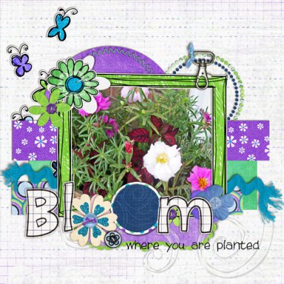 Bloom where your're planted