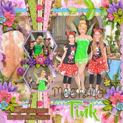 Meeting Tink