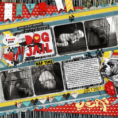 Dog Jail