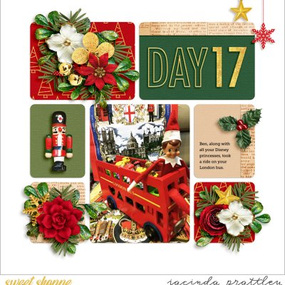 Elf on a shelf - day 17