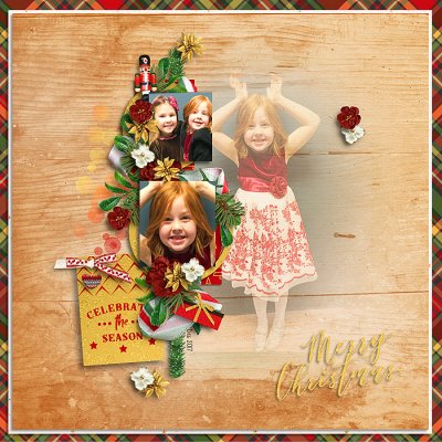 celebrate the season