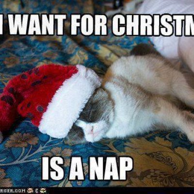 Holiday Meme