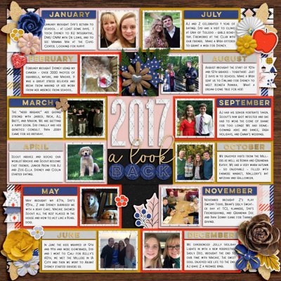 Year in Review 2017
