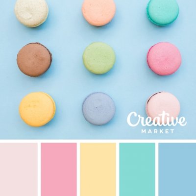 Color Palette