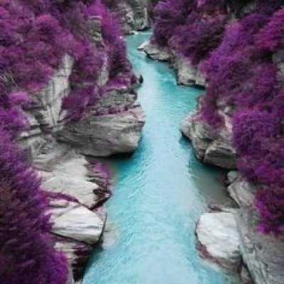 2018 Colors