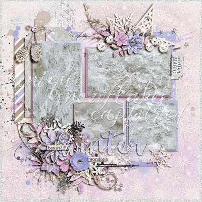 Snow Close-up