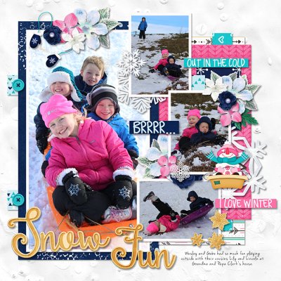 Sledding Fun