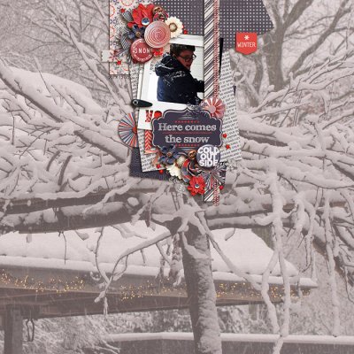 winter wonderland
