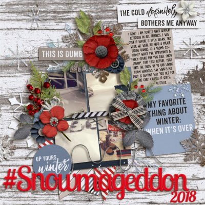 #Snowmageddon2018