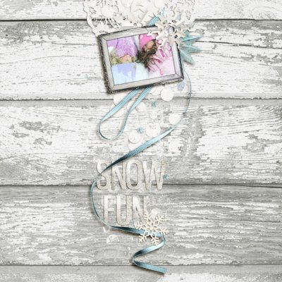 Snow Fun