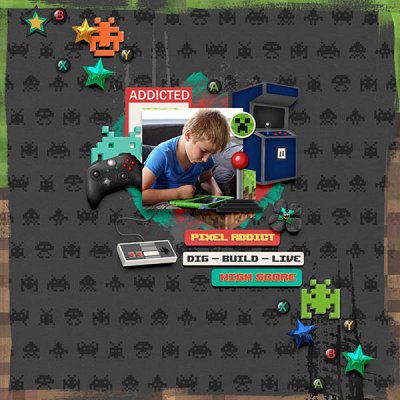 dig - build - live