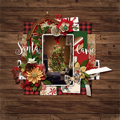 Santa came