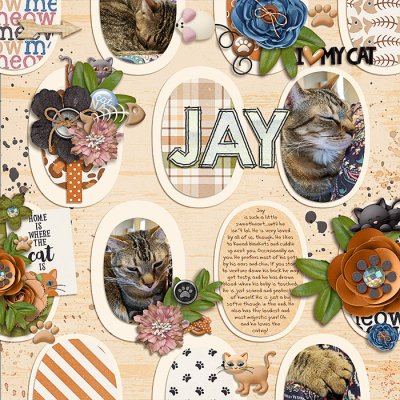 Jay