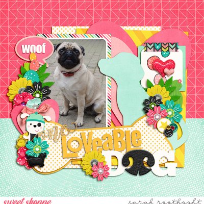 One Lovable Dog